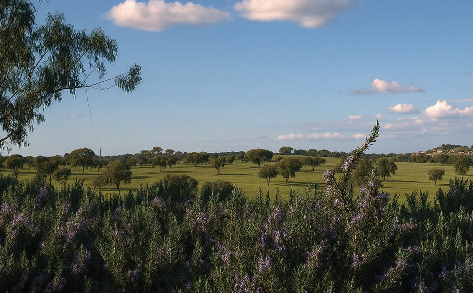 InnerPower-TheCreativePowerofMoney-Retreat-Space-Nature-1